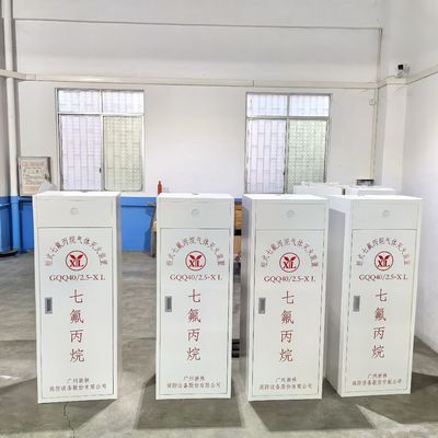 FM200 Gas Suppression System for Fire Suppression in Airport machine room