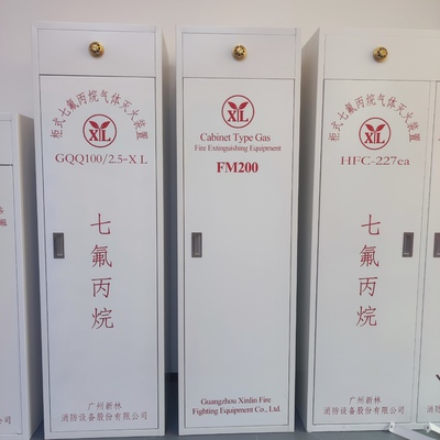 100L FM200 Gas Suppression System for treasure trove and archive